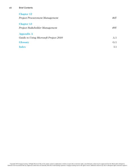 Information Technology Project Management 的图像结果