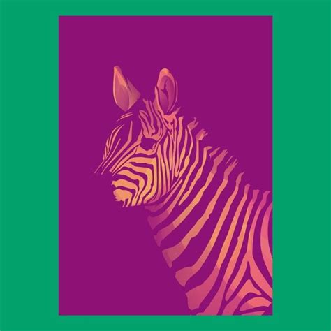 Image result for Split Complementary Colors Examples