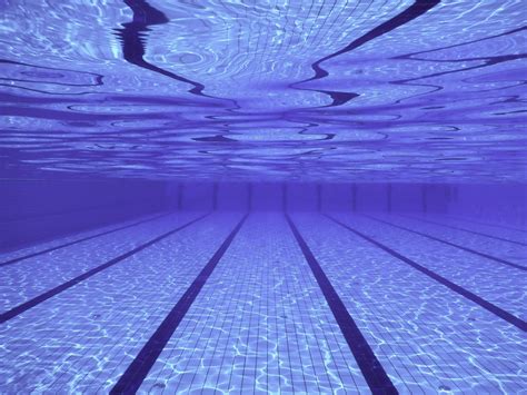Swimming Pool Underwater 的图像结果
