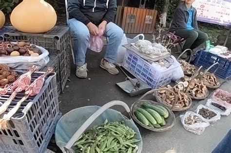 大刘在哈尔滨景区门口买豆角，大娘要价5块，结果最后10块买下了_凤凰网视频_凤凰网