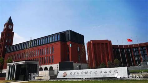 南京外国语学校大行宫校区2023年录取分数线