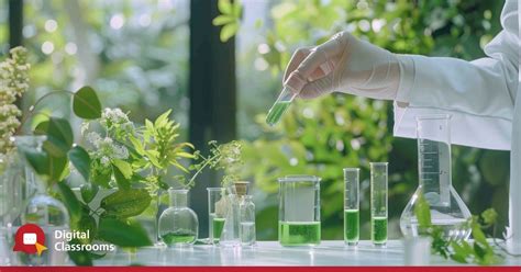 Fuelling a Sustainable Future: Innovations in Catalyst Analysis, Online ...