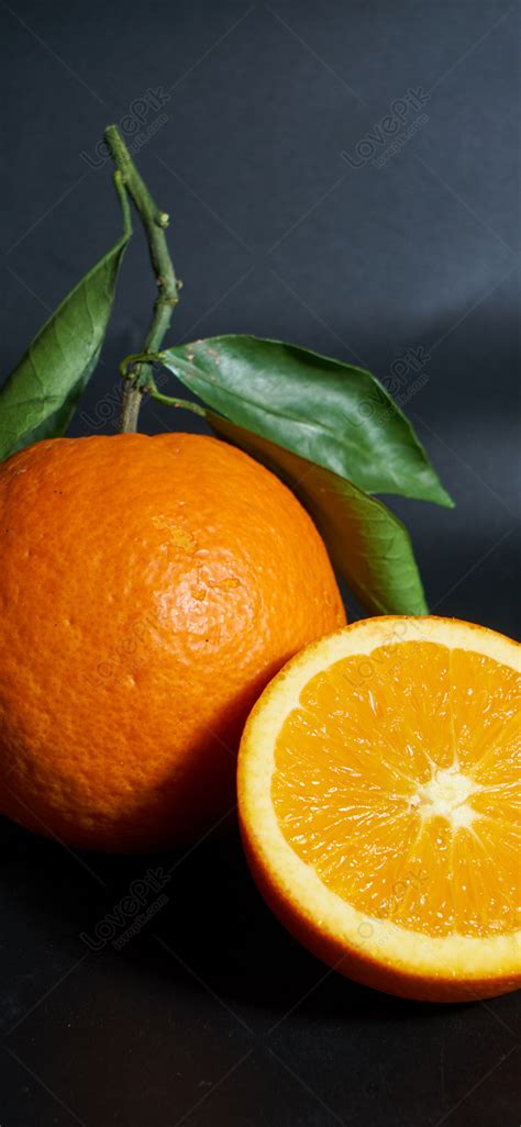 Image result for Orange 5 Programmer Software