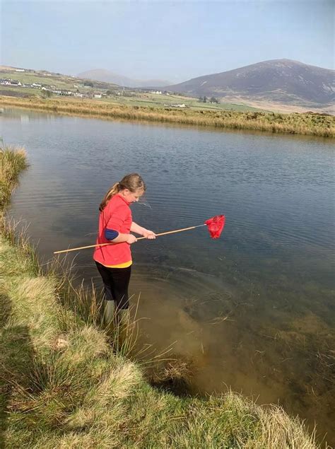 Toad Killing Toad 的图像结果