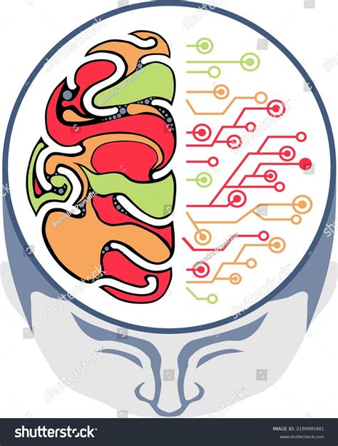 Digital Robot Brain Vector Image 的图像结果