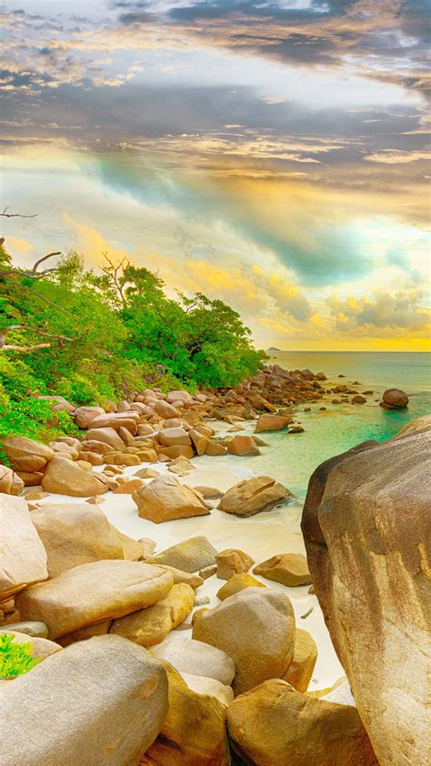 Nature Background HD 的图像结果