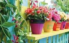 vasi colorati per piante come scegliere i migliori vasi per piante e fiori o per l vasi colorati per piante come scegliere i migliori vasi per piante e fiori o per l