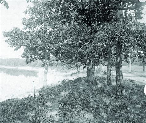 GLENWOOD BANDSHELL: CELEBRATING 100 YEARS - Pope County Tribune