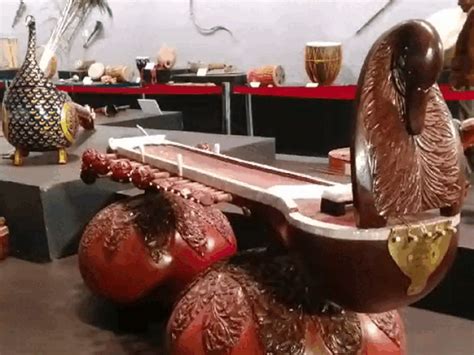 Exhibition of musical instruments at Bhopal's Lokrang Festival: Special ...