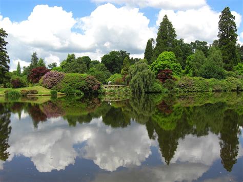Sheffield, England, Parks, Pond, Shrubs, Trees, HD Wallpaper | Rare Gallery
