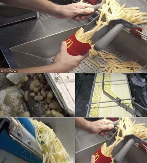 Silicone and petroleum found in McDonald’s fries – USA