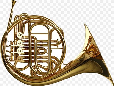 Image result for Brass Instruments French Horn