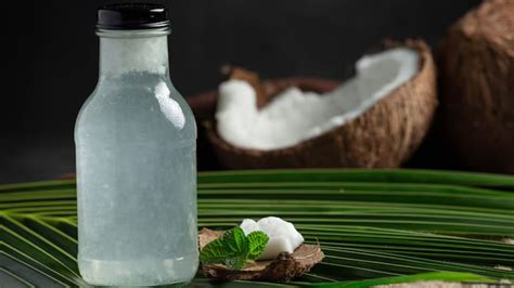 Conheça 6 benefícios da água de coco à saúde - Feed TV