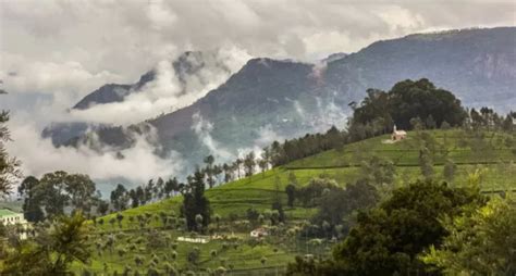 Top 6 Things To Do in Kotagiri, Tamil Nadu for a Memorable Family ...