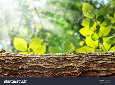 Image result for Logo Background for Log