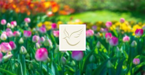 Obituary | MS. JOHNNIE R. SMITH of East Saint Louis, Illinois | Officer ...