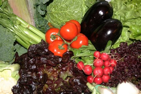 MI PUEBLO 2 Meat & Market: FRUTAS Y VERDURAS