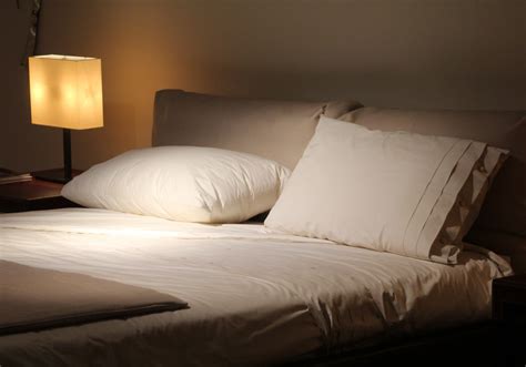 Histamine Dump at Night: A Complete Guide – Fact vs Fitness