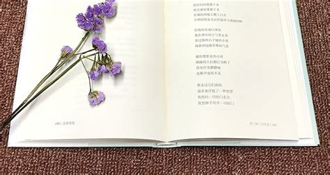 艾青最短的诗,冰心的小短诗,艾青《星》(第3页)_大山谷图库