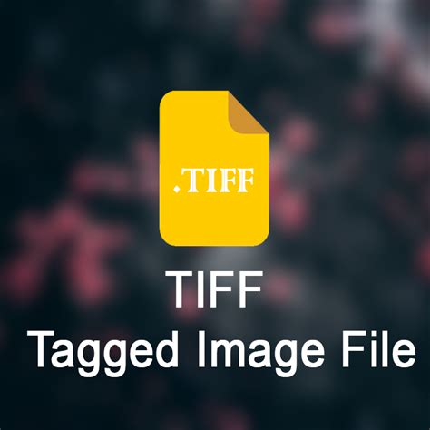 Tagged Image File Format 的图像结果