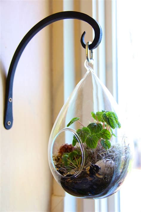 Image result for Terrarium Making111