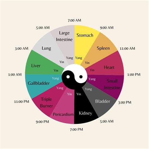 The Liver In Chinese Medicine — Wild Earth Acupuncture - Portland, Oregon