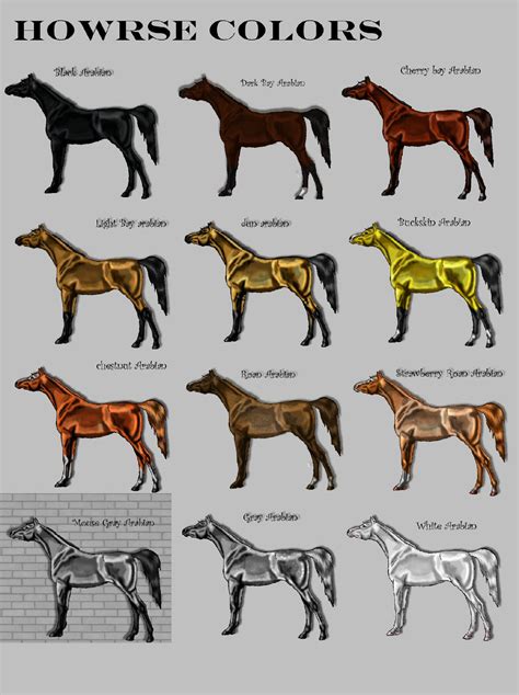 Horse Colors - Coloring