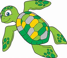 Image result for Sea Turtle Black and Gray