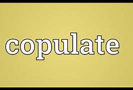 Image result for copulate