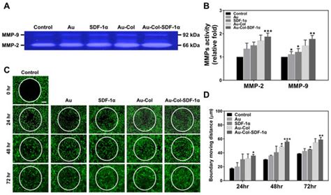Stem Cell Differentiation and Applications