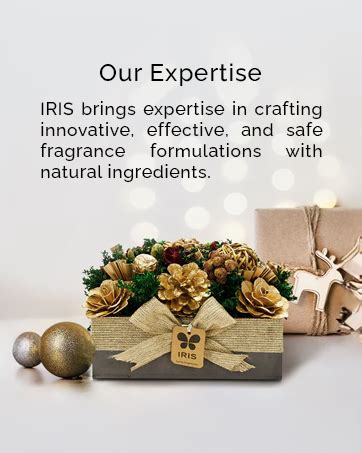 IRIS - Home Fragrance - Electric Fragrance Vaporizer - Sleek Design ...