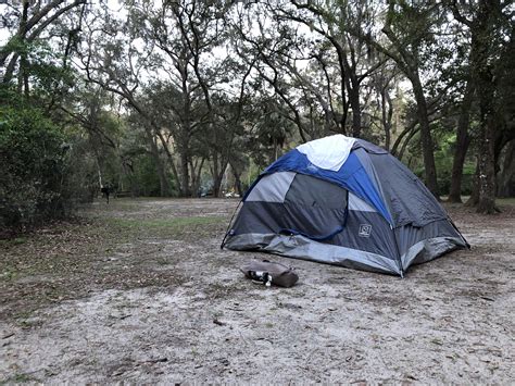 Salt Springs Recreation Area, Ocala National Forest, FL! : r/camping