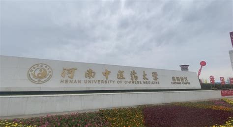 洛阳市中医药学校新校区项目建设举行开工仪式 - 洛阳市中医药学校官网