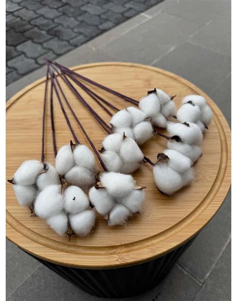 Pamuk Demeti (Cotton)10'lu