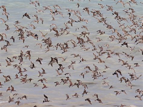 The 27 most beautiful towns in America | Condé Nast Traveller India