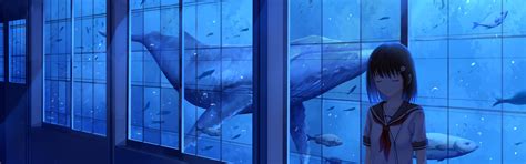 Download wallpaper the ocean, fish, window, kit, schoolgirl, section ...