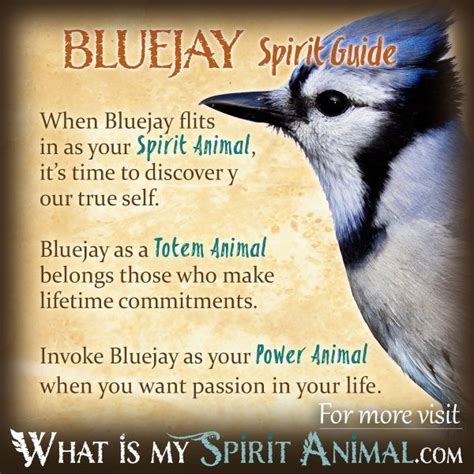 Native American Bird Symbolism Eagles Ravens