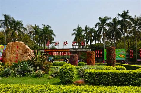 广州华南植物园门票（面积最大的南亚植物园）,马蜂窝自由行 - 马蜂窝自由行