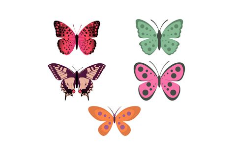 Image result for Butterfly Graph Design