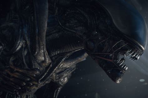 Image result for Alien 1 Ending