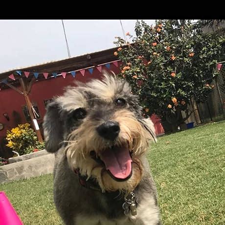 BenQ TK860i 3300lm 4K HDR Smart Home Theater Projector | 98% Rec.709 ...