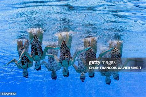 Swim Team Photo Shoot 的图像结果