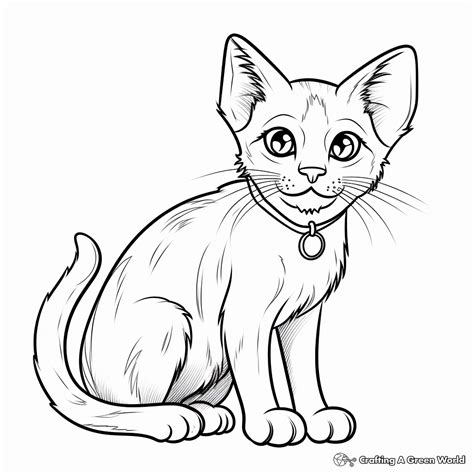 Siamese Cat Coloring Pages Printable