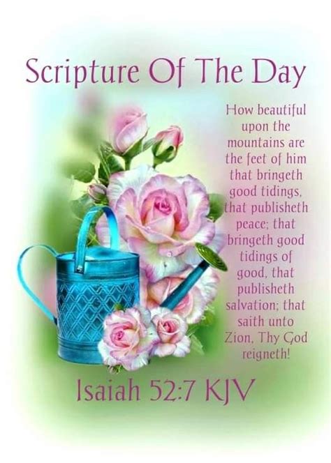 Image result for Beautiful Roses with Scripture