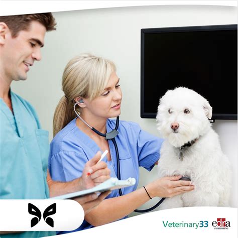 Veterinary School Texas Tech at Michael Rushing blog