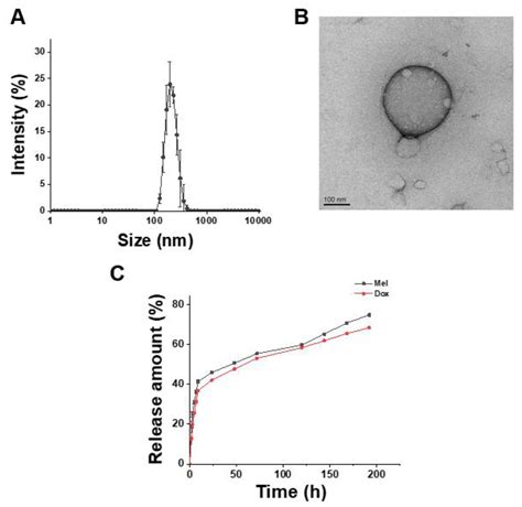 Development of Polymersomes Co-Delivering Doxorubicin and Melittin to ...