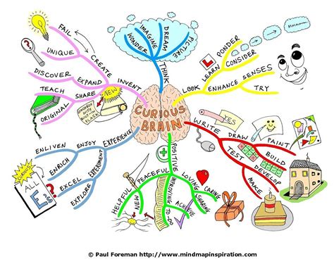 Brain Map Example 的图像结果