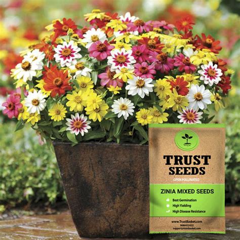 home & garden > plants > seeds – TrustBasket