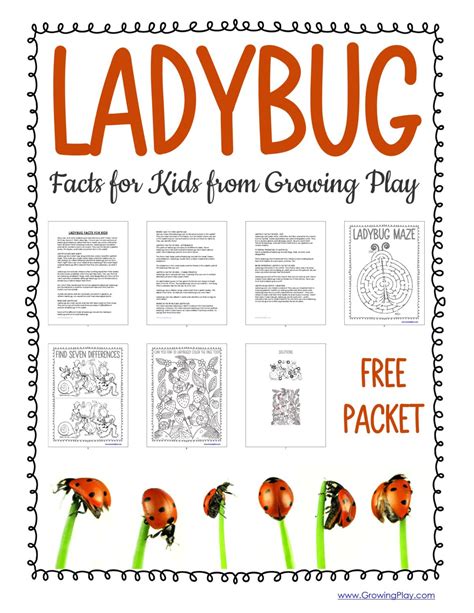 Ladybug Facts for Kids - Growing Play