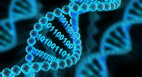 Image result for Bioinformatics Explained